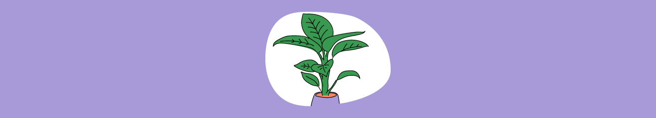 Illustration einer Pflanze