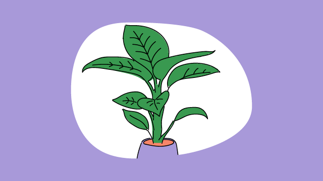 Illustration einer Pflanze